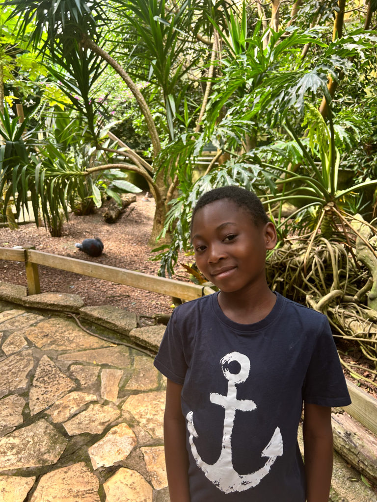 Un moment phare de l'été 2024 à La Maison : visite aux Tropiquarium et Zoo de Servion.